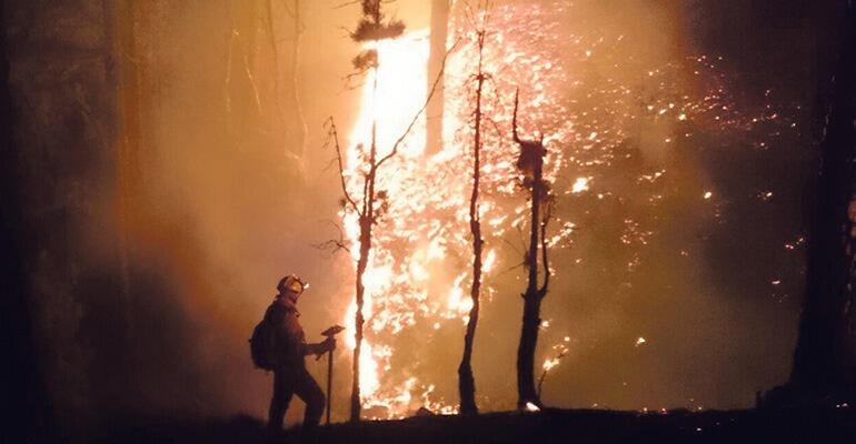 Die betroffenen Einwohner La Palmas lobten die Rettungskräfte, die teilweise über ihre Kräfte hinaus das Inferno rund um die Uhr bekämpften. Foto: EFE
