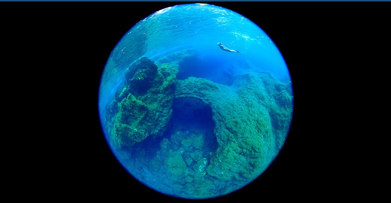 Unterwasserwelt El Hierro RIff CABELHIERRO Aktivitäten