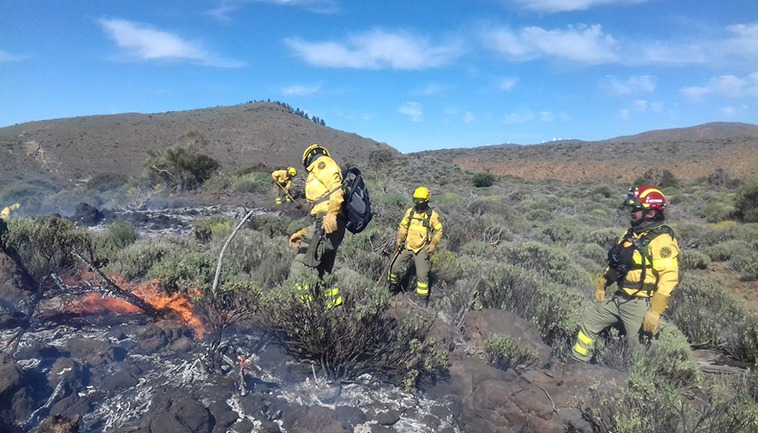 Mitarbeiter der Waldbrandbekämpfungseinheit des Cabildos beim Löschen eines Feuers im Teide-Nationalpark im Mai letzten Jahres. Foto: Cabildo de Tenerife