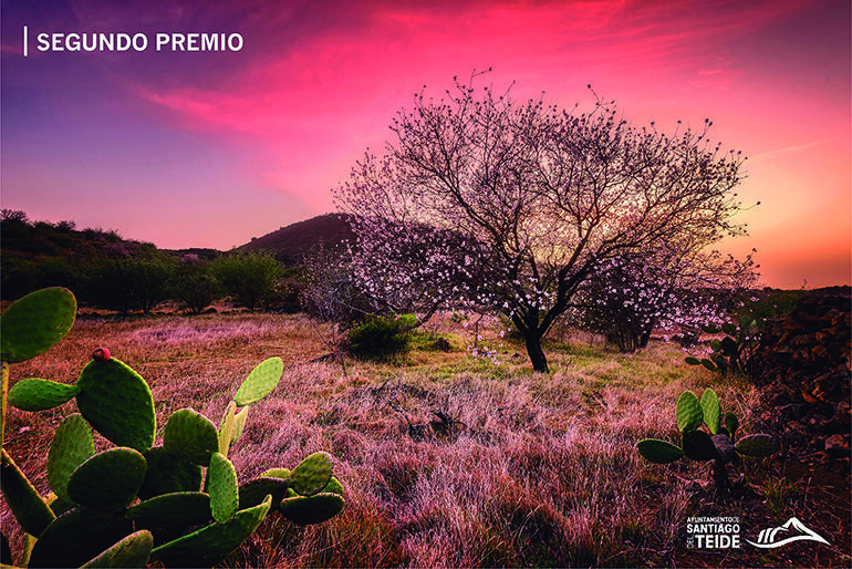 2. Preis: „Solitario“ von Jesús Nicolás Martín
