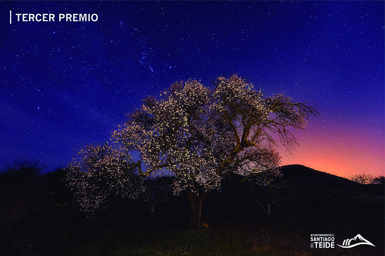 3. Preis: „Bajo el Cielo Protector“ von Gustavo Tavío