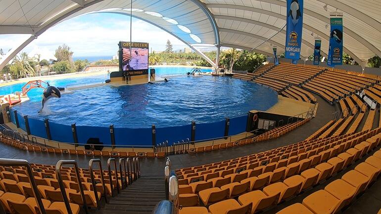 BU: Auch ohne Zuschauer führen Orcas, Delfine, Seelöwen und Papageien täglich mehrmals ihre Übungen durch. Das hält die Tiere geistig und körperlich fit. Foto: Loro Parque