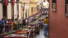Auf die Kunst der Blütenteppiche in den Straßen muss dieses Jahr verzichtet werden. Die Besucherzahl wäre ein zu großes Ansteckungs­risiko. Foto: Ayuntamiento de la ORotava