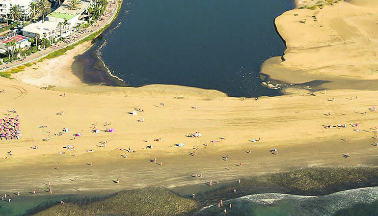 Die Lagune von Maspalomas Foto: miguel angel peña