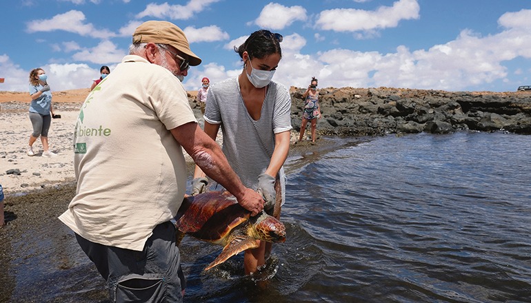 Freilassung und Küstensäuberung fand in Puerto Lajas (Puerto del Rosario) statt. Foto: EFE