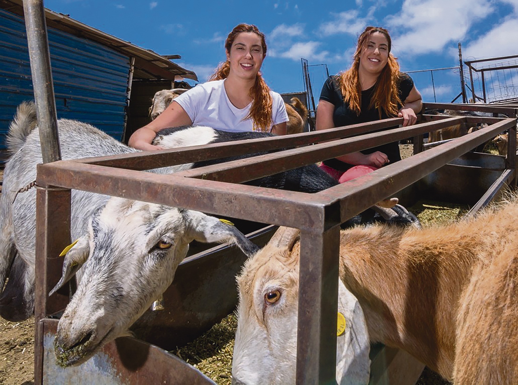 Beatriz und Natalia Mayor auf ihrem Hof. Für die Käsemanufaktur halten sie mehr als 400 Tiere. Foto: cabildo de gran canaria/quesos naroy