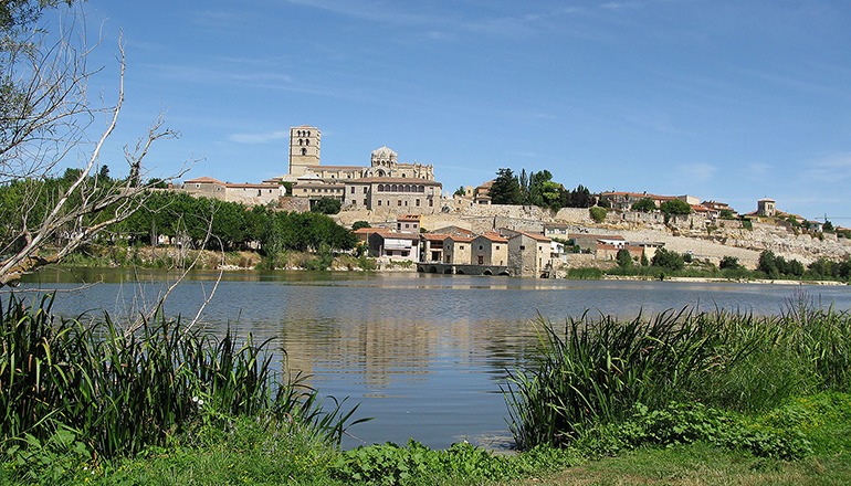 Blick über den Duero auf die Stadt Zamora und ihre Kathedrale Foto: pixabay