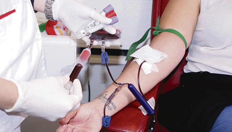 Blutentnahme in einem Blutspendebus Foto: Gobierno de Canarias