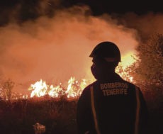 Einsatzkräfte von Teneriffa und Gran Canaria unterstützten die Kollegen von La Palma im Kampf gegen die Flammen. Foto: moisés pérez