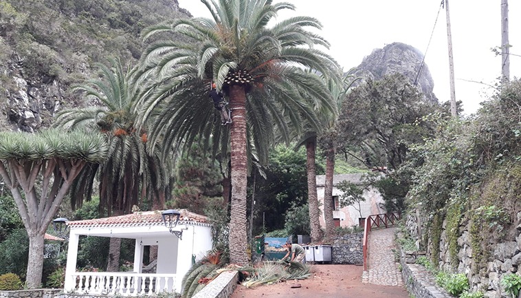 Foto: Cabildo de Tenerife