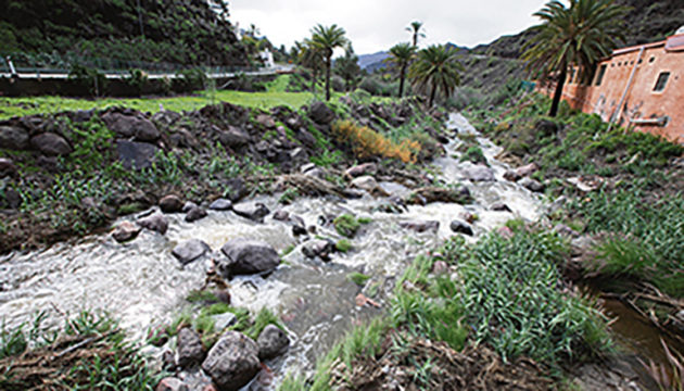 Wasserlauf im Barranco de Mogán im sonst so trockenen Süden Gran Canarias Foto: EFE