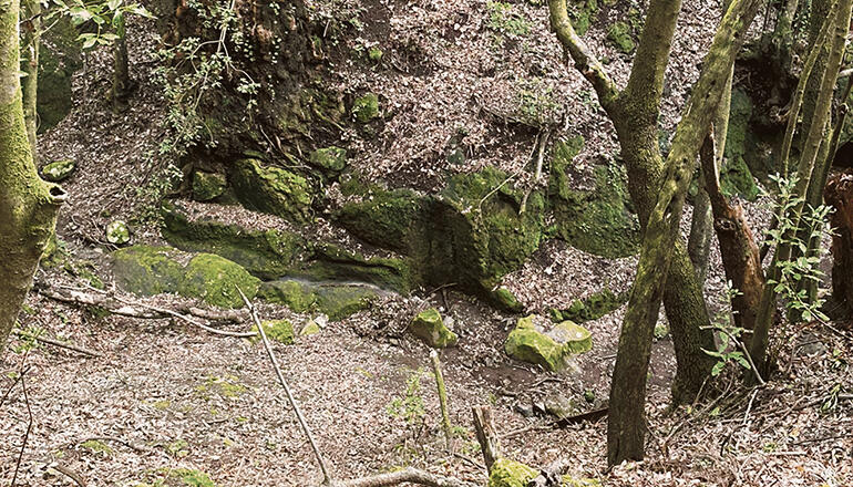 Schild am Beginn des Rundwanderwegs Foto: wb