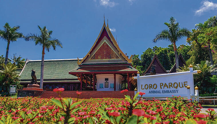 Poema del Mar und Loro Parque werden als erste Freizeitparks der Unternehmensgruppe am 1. Mai wieder die Türen für Besucher öffnen. Für diejenigen, die im vergangenen Jahr eine Jahreskarte erworben haben und sie nicht nutzen konnten, werden beide Parks schon zwei Tage früher, am 29. April geöffnet. Fotos: Poema del Mar/Loro Parque/Moisés Pérez