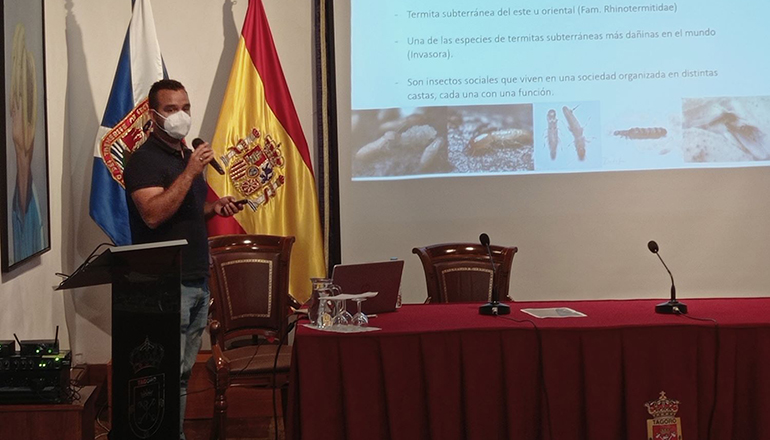 Experten informierten im Rahmen einer Tagung in Tacoronte über den Fortgang der Termitenbekämpfung. Foto: Ayuntamiento Tacoronte