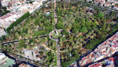 Der Parque García Sanabria ist einer von 29 Stadtparks in Santa Cruz de Tenerife. Foto: Moisés Pérez Pérez