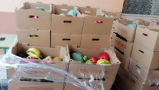 Statt nicht verkaufte Früchte zu entsorgen, sollen sie bedürftigen Personen und Familien zu Gute kommen. Foto: Cabildo de Tenerife