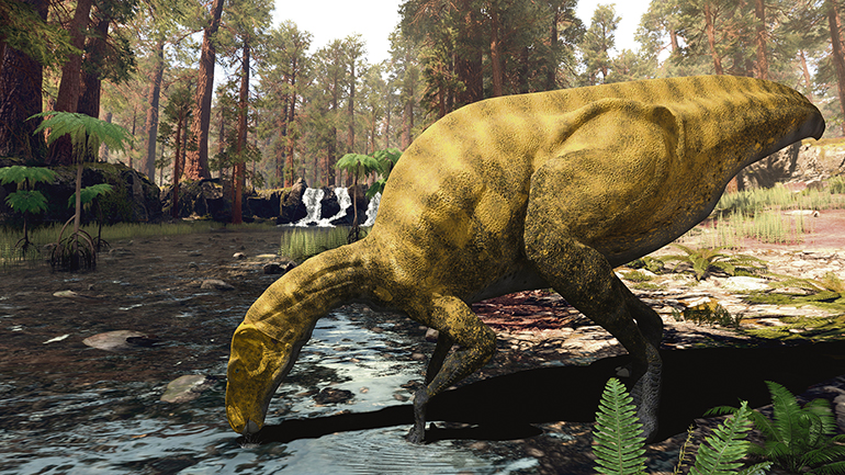 So könnte die neuentdeckte Dinosaurier-Art, die dem Iguanodon ähnelt, aus­gesehen haben. Foto: EFE