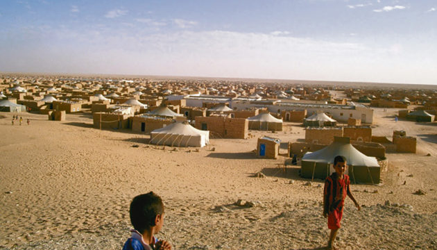 Die Pandemie verhindert auch dieses Jahr wieder, dass Kinder aus den Flüchtlingslagern bei Tindouf (Algerien) der Sommerhitze dort entfliehen und Ferien bei Gastfamilien in Spanien verbringen. Foto: ACAPS