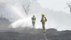 Die Flammen wurden am Boden und aus der Luft von rund 200 Einsatzkräften bekämpft. Foto: Moisés Pérez
