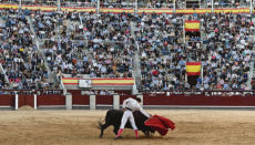 Der Kulturbonus soll nicht für den Besuch von Stierkämpfen gelten. Foto: EFE