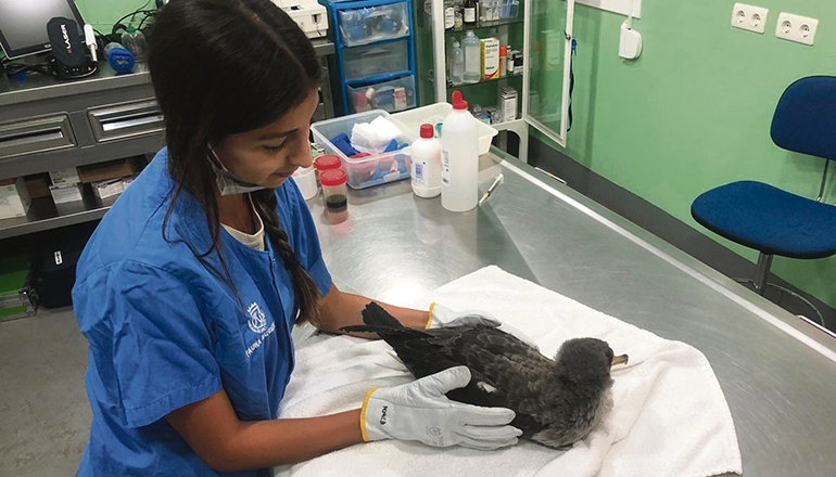 In La Tahonilla kümmert sich Fachpersonal um die Untersuchung und Pflege der Tiere, bis sie gesund und kräftig sind, um freigelassen zu werden. Foto: cabtf