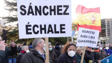 Landwirte gingen in Valladolid auf die Straße, um Sánchez aufzufordern, seinen Verbraucherminister „zu feuern“. Alberto Garzón sieht sich derweil nicht in der Schuld. Foto: EFE