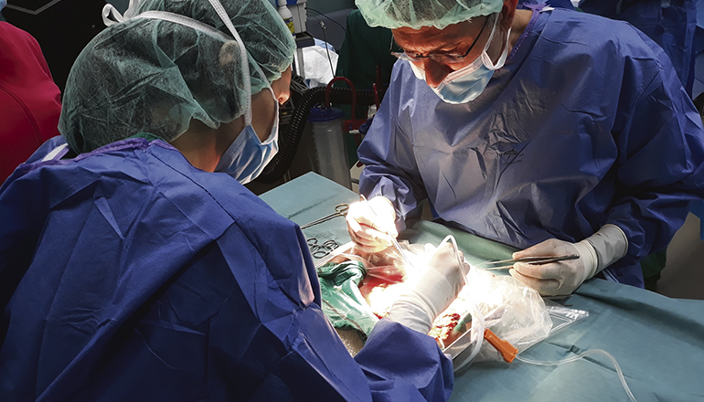 Die Großzügigkeit von 105 Menschen und die Erfahrung vom medizinischen Fachpersonal an den Krankenhäusern auf den Kanaren, machten den Eingriff möglich. Foto: Gobcan