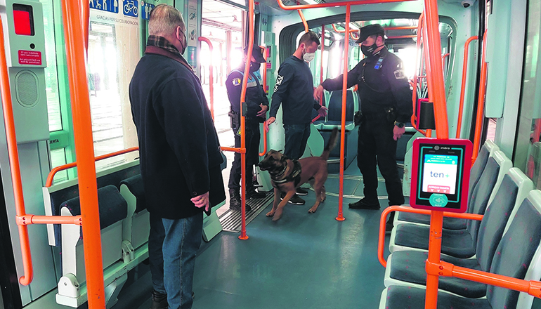 Die ersten Hunde durften im Rahmen eines Trainings der Hundestaffel der Polizei in die Straßenbahn einsteigen. Die Diensthundeführer übten mit ihren Beamten auf vier Pfoten unter anderem das Aufspüren von Drogen. Foto: Cabildo de Tenerife