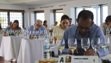 Während der Agrocanarias finden zahlreiche Weinverkostungen statt. Foto: Gobierno de Canarias