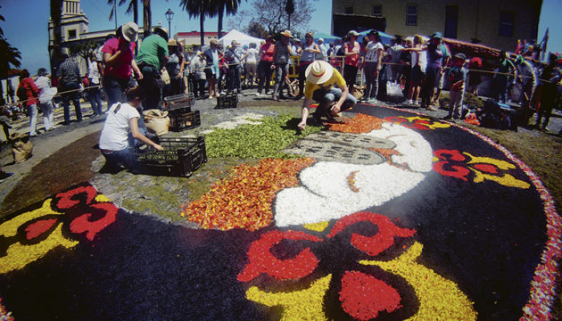 In La Orotava bereitet man sich auf das Fronleichnamsfest vor, zu dem die Straßen mit Blütenteppichen geschmückt werden. Foto: Moisés Pérez