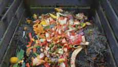 Ab 2023 sieht die Gesetzgebung die Wiederverwertung von Abfällen als Kompost vor. Foto: PIXABAY