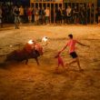 In L’alcora, Valencia, bekommen Stiere glühende Halterungen an das Gehörn, um das Spektakel noch spannender zu machen. Foto: EFE