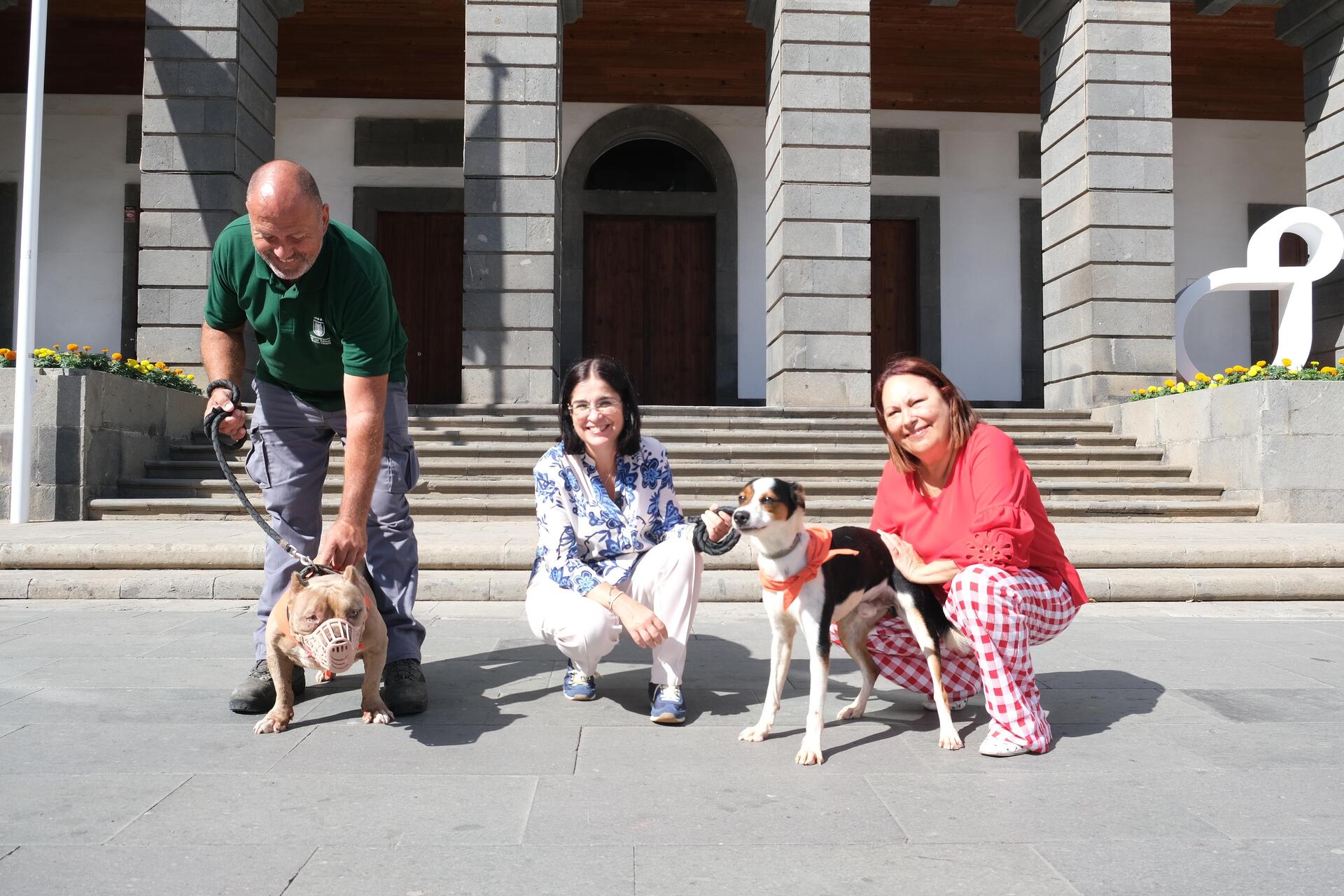 Welttag des adoptierten Hundes