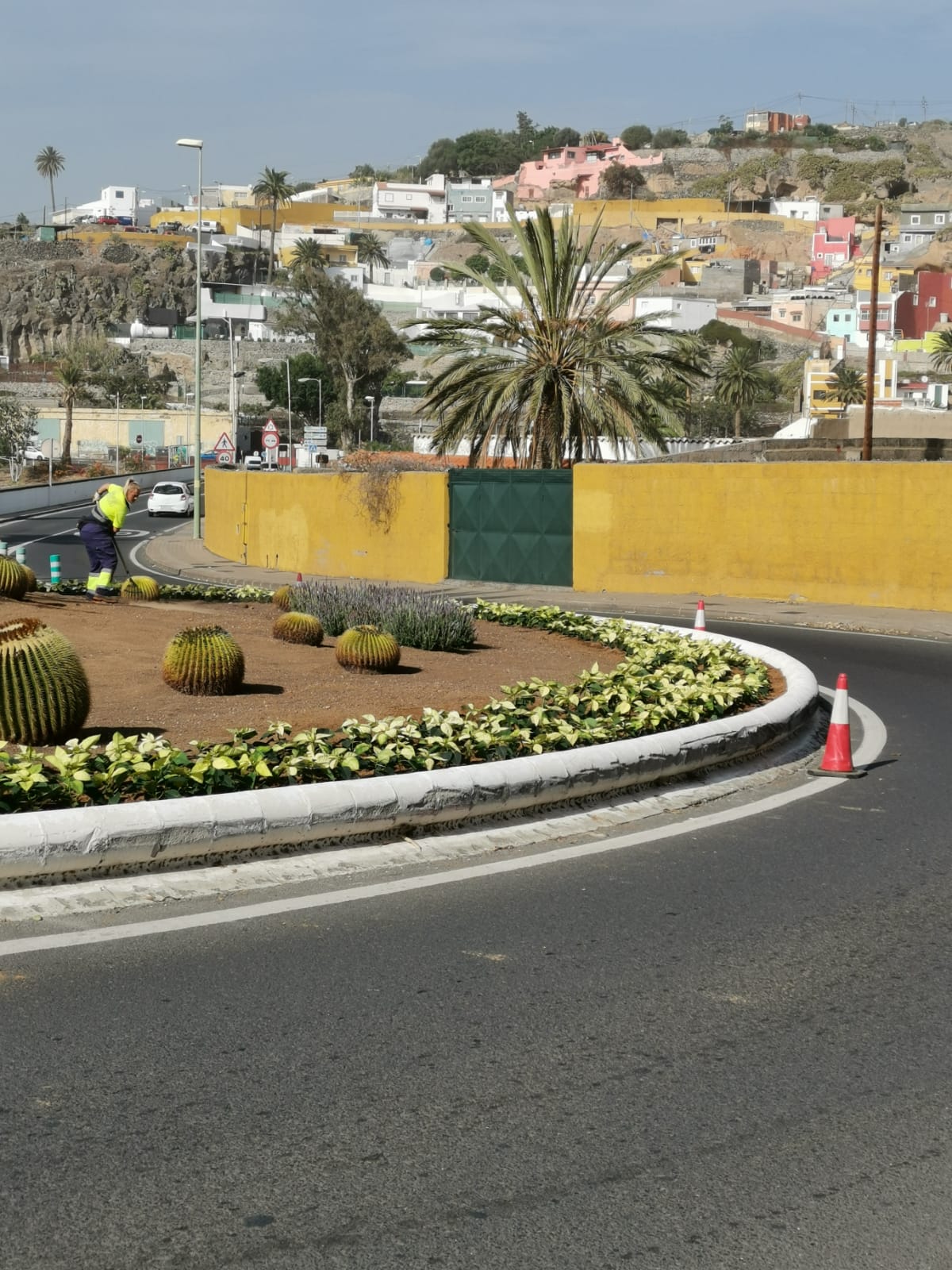 Osterglocken in Telde