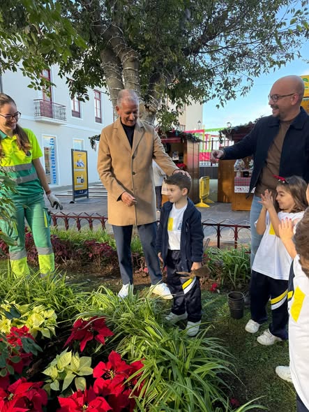 Kinder helfen beim Pflanzen der Weihnachtssterne