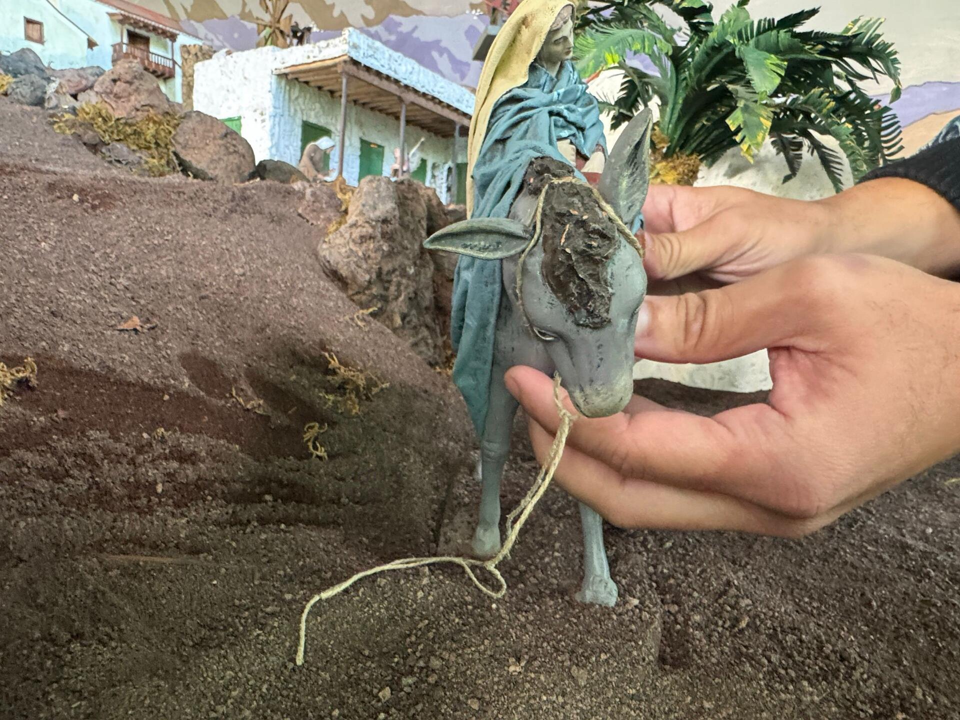 Vorbereitung der Weihnachtskrippe in Telde