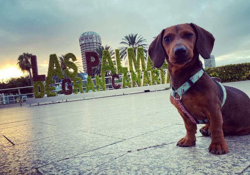 Chavela, Gewinnerin des Wettbewerbs "Mein Freund kommt mit mir"