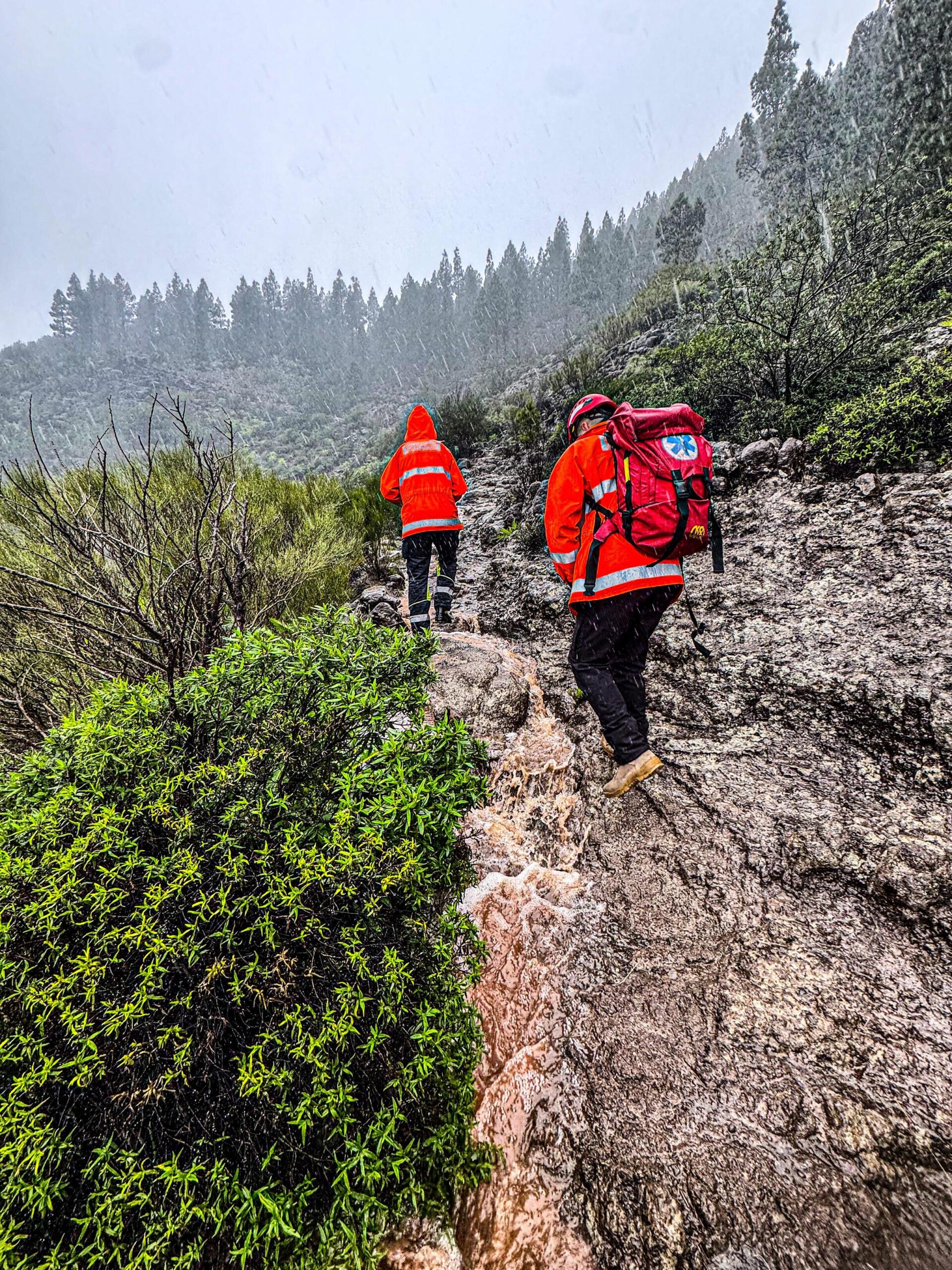 Einsatz der Freiwilligen Feuerwehr Santiago del Teide