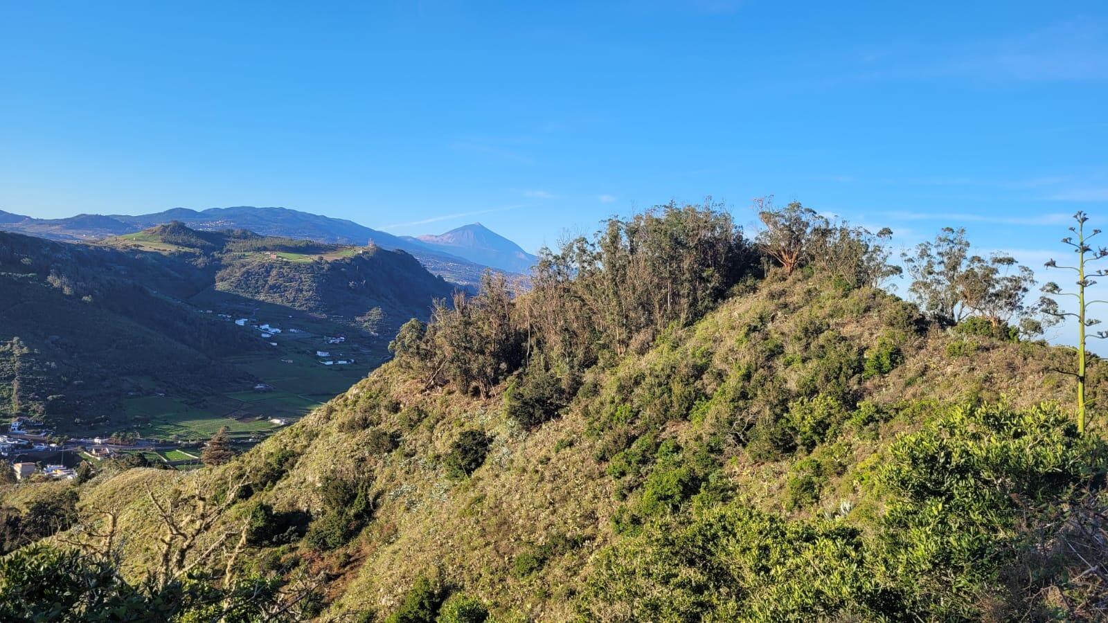 Rutas guiadas Tegueste
