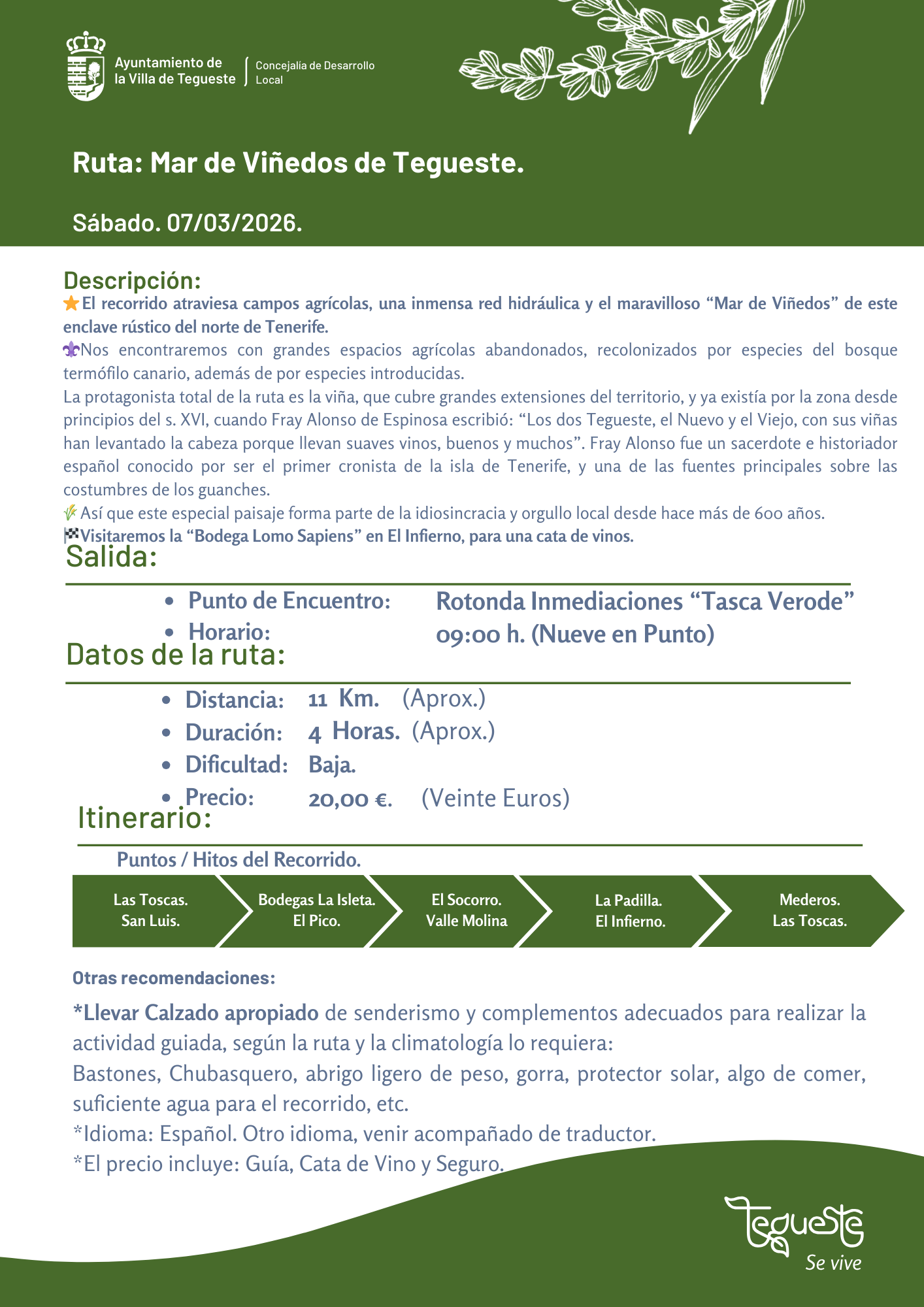 Mar de Viñedos, Beschreibung