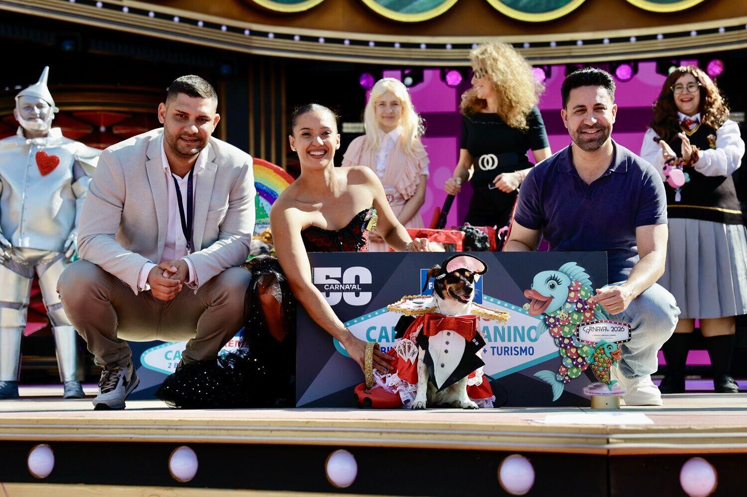 Erster Preis beim Hundekarneval