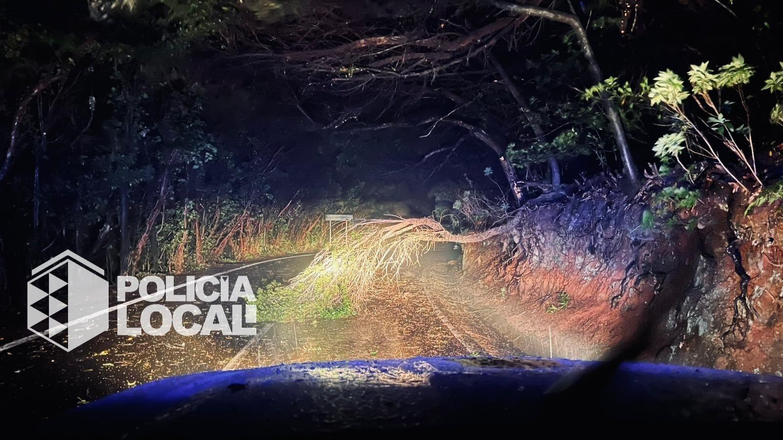 Vorfälle durch Sturm Therese