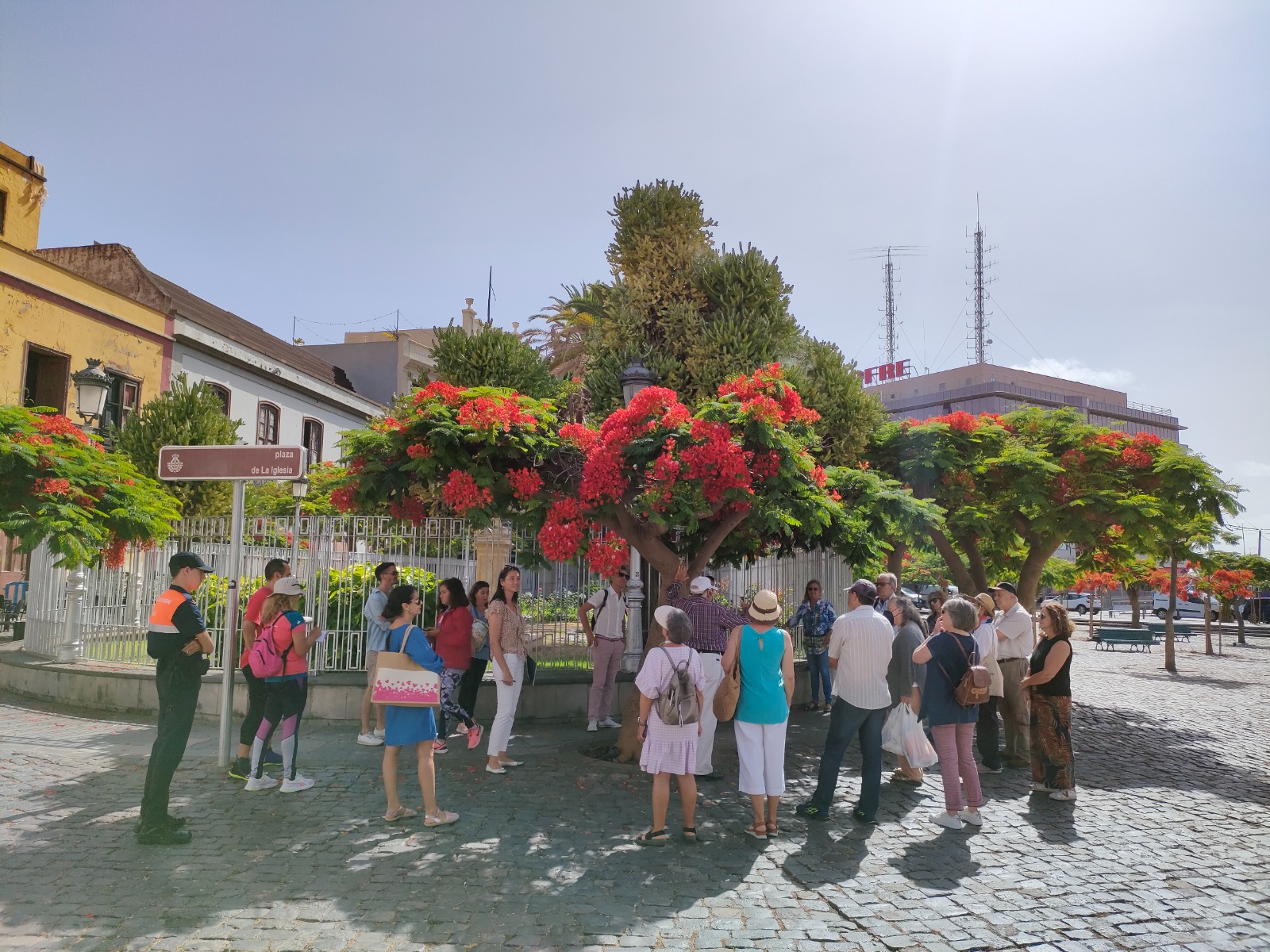 Geführte Touren in Santa Cruz de Tenerife