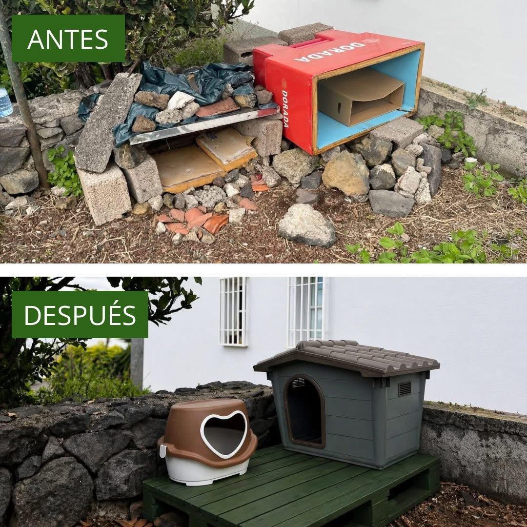 Unterkünfte Katzenkolonien